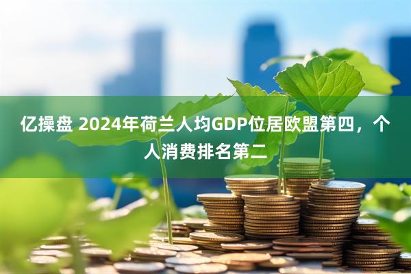 亿操盘 2024年荷兰人均GDP位居欧盟第四，个人消费排名第二