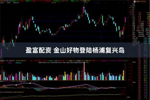 盈富配资 金山好物登陆杨浦复兴岛