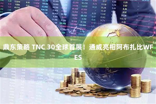 鼎东策略 TNC 30全球首展！通威亮相阿布扎比WFES