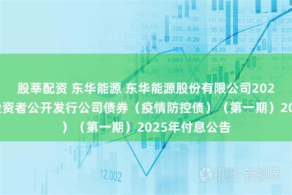股莘配资 东华能源 东华能源股份有限公司2021年面向专业投资者公开发行公司债券（疫情防控债）（第一期）2025年付息公告